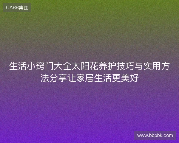 生活小窍门大全太阳花养护技巧与实用方法分享让家居生活更美好